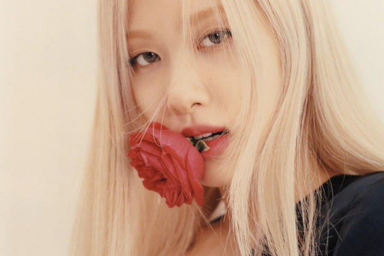 Rose – KPOP 6